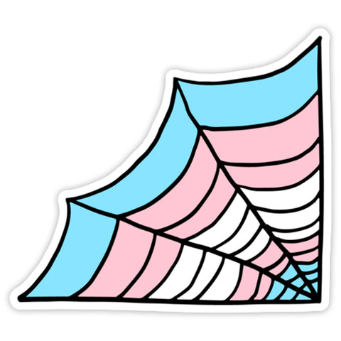 Trans Pride Flag Spiders Web Matte Vinyl Sticker Transgender