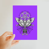 Deaths Head Hawk Moth Pentagram Purple Classic Postcard